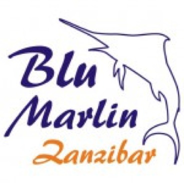 Logo Villa Blue Moon in Zanzibar